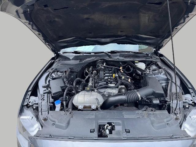 2022 Ford Mustang Vehicle Photo in Oshkosh, WI 54901