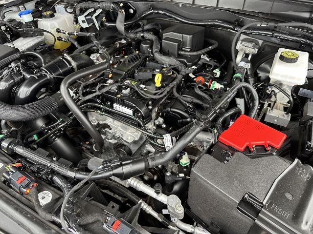 2022 Ford Bronco Vehicle Photo in Tucson, AZ 85712