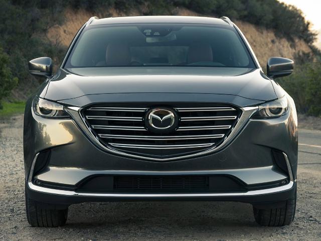 2019 Mazda CX-9 Vehicle Photo in SAUK CITY, WI 53583-1301