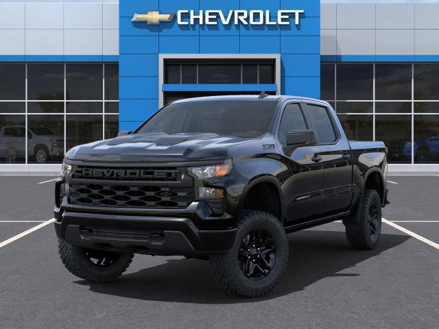 2025 Chevrolet Silverado 1500 Vehicle Photo in DETROIT, MI 48207-4102