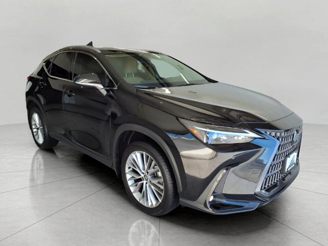 2025 Lexus NX 350 Vehicle Photo in Oshkosh, WI 54904