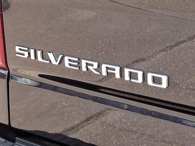 2024 Chevrolet Silverado 1500 Vehicle Photo in DANBURY, CT 06810-5034