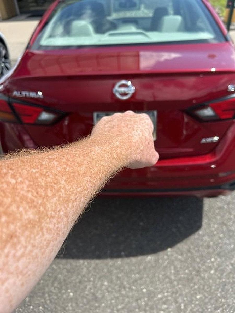 2020 Nissan Altima Vehicle Photo in Trevose, PA 19053