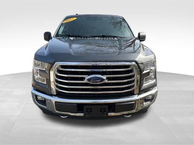 2017 Ford F150 Vehicle Photo in MEDINA, OH 44256-9631