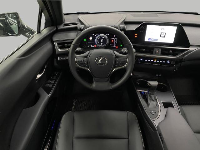 2024 Lexus UX 250h Vehicle Photo in Appleton, WI 54913