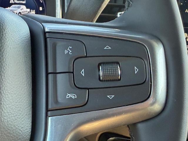 2025 Chevrolet Silverado 1500 Vehicle Photo in COLUMBIA, MO 65203-3903