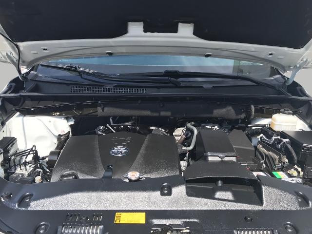 2019 Toyota Highlander Vehicle Photo in GREEN BAY, WI 54303-3330