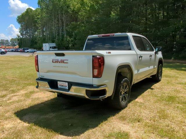 2024 GMC Sierra 1500 Vehicle Photo in ALBERTVILLE, AL 35950-0246