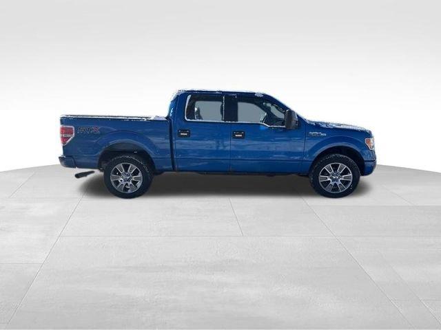 2014 Ford F-150 Vehicle Photo in MEDINA, OH 44256-9631