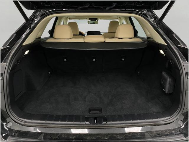 2022 Lexus RX 350 Vehicle Photo in Appleton, WI 54913