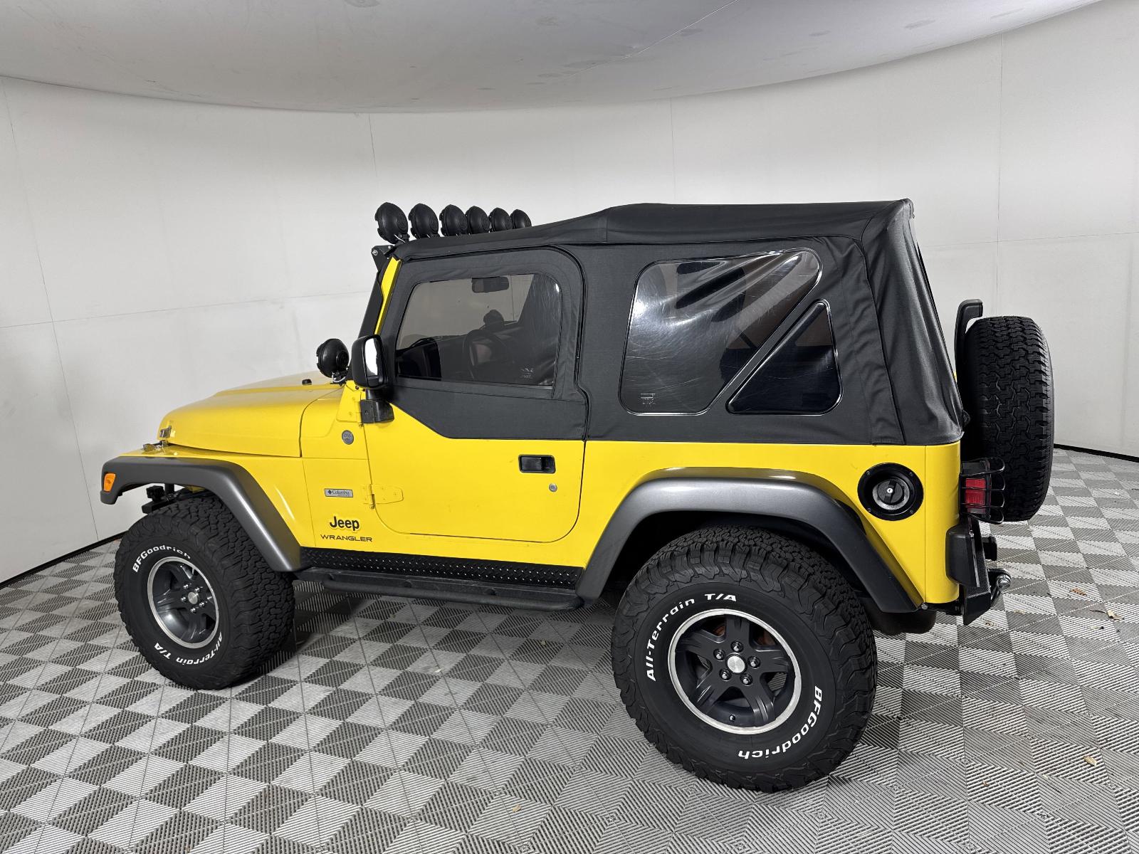 2004 Jeep Wrangler Vehicle Photo in Georgetown, TX 78626