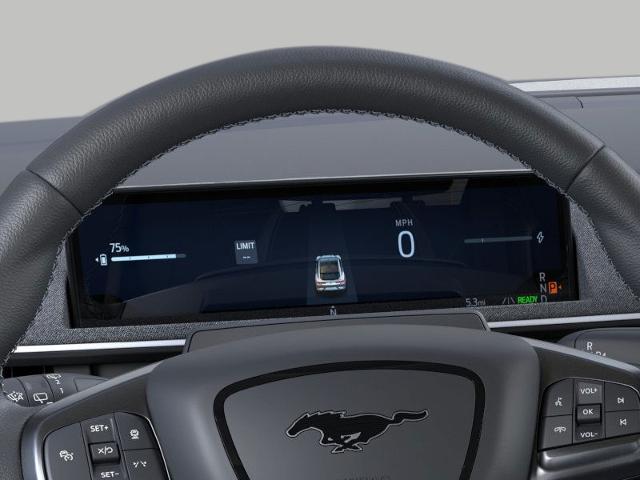 2025 Ford Mustang Mach-E Vehicle Photo in Neenah, WI 54956