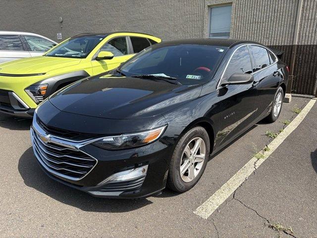 2019 Chevrolet Malibu Vehicle Photo in Philadelphia, PA 19116
