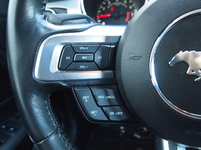 2023 Ford Mustang Vehicle Photo in MADISON, IN 47250-1611