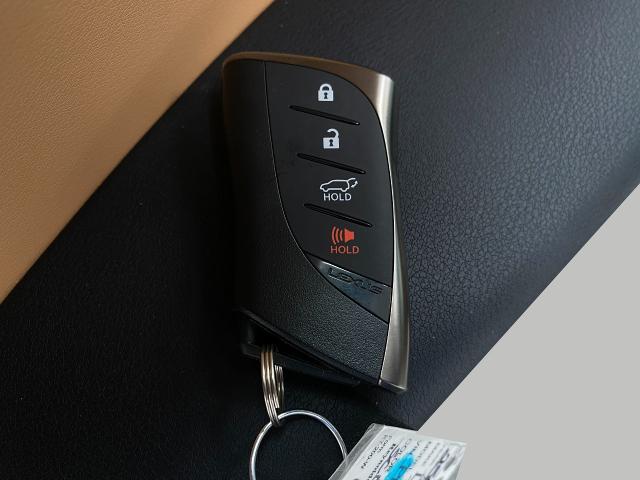 2025 Lexus RX 350 Vehicle Photo in Appleton, WI 54913