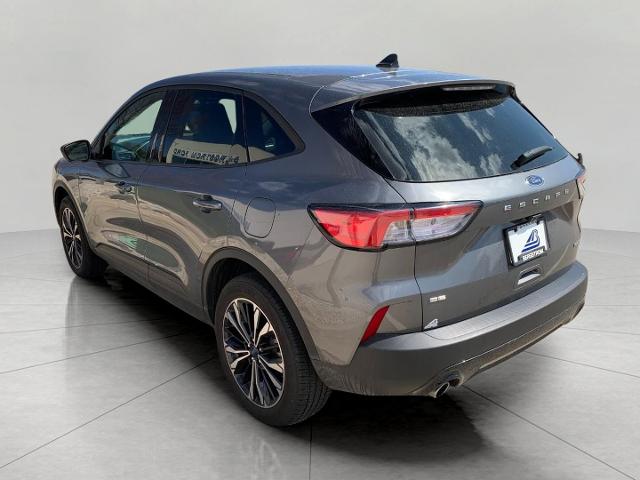 2022 Ford Escape Vehicle Photo in MADISON, WI 53713-3220