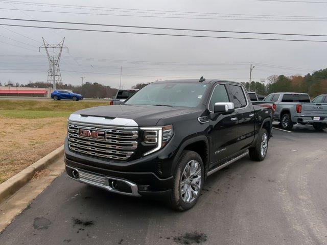 2025 GMC Sierra 1500 Vehicle Photo in ALBERTVILLE, AL 35950-0246