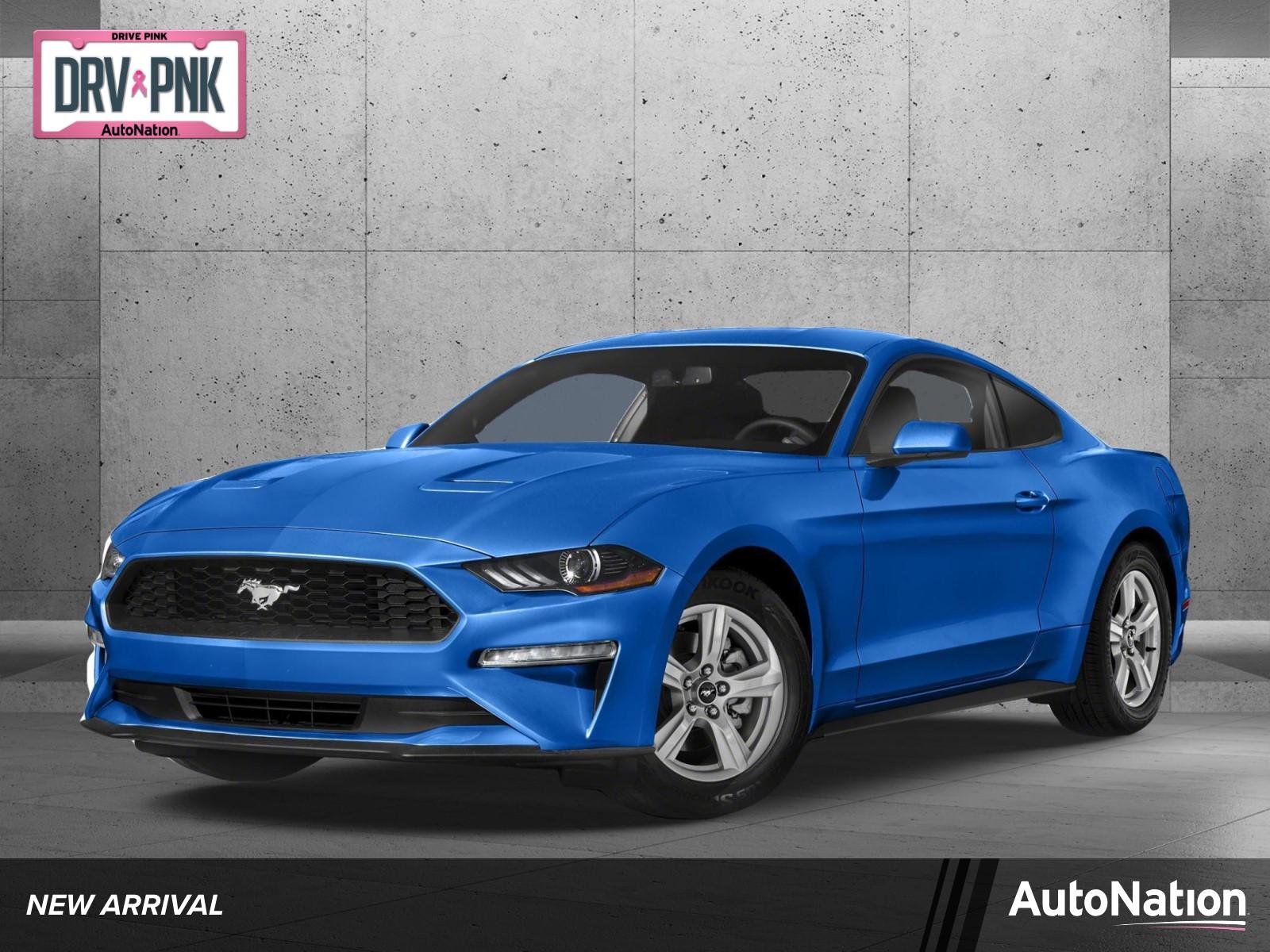 2019 Ford Mustang Vehicle Photo in Jacksonville, FL 32244