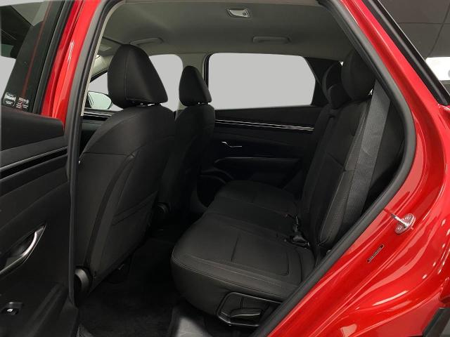 2023 Hyundai TUCSON Vehicle Photo in Appleton, WI 54913