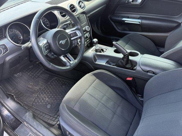 2021 Ford Mustang Vehicle Photo in Ogallala, NE 69153