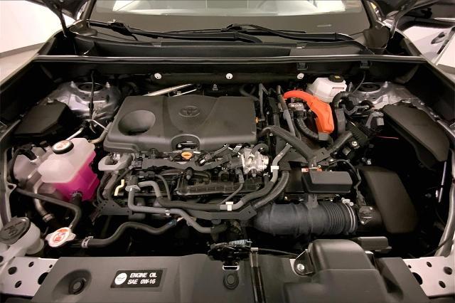 2022 Toyota RAV4 Vehicle Photo in Lees Summit, MO 64086