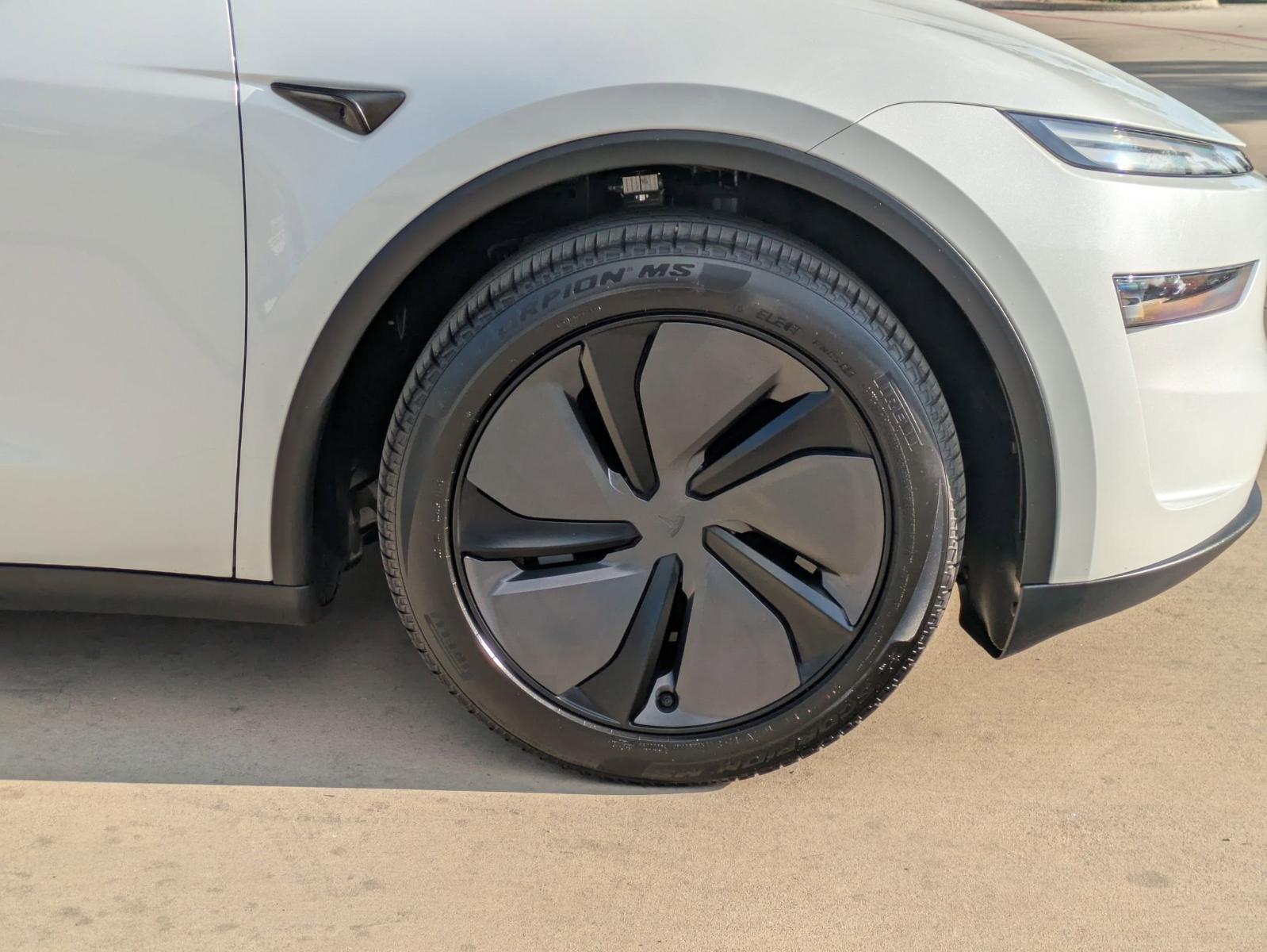 2026 Tesla Model Y Vehicle Photo in SELMA, TX 78154-1460
