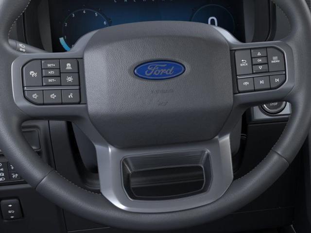 2025 Ford F-150 Vehicle Photo in Weatherford, TX 76087