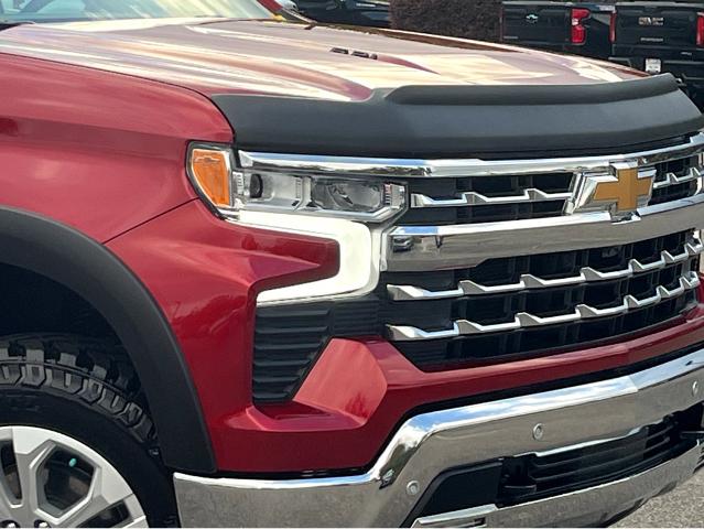 2024 Chevrolet Silverado 1500 Vehicle Photo in BEAUFORT, SC 29906-4218