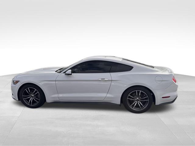 2017 Ford Mustang Vehicle Photo in DELRAY BEACH, FL 33483-3294