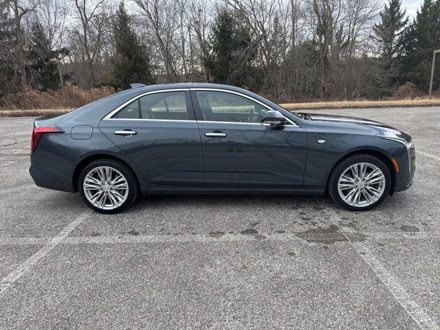 2022 Cadillac CT4 Vehicle Photo in MOUNT KISCO, NY 10549-1513
