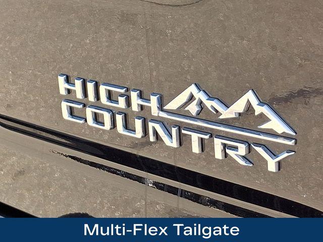 2024 Chevrolet Silverado 3500 HD Vehicle Photo in PAWLING, NY 12564-3219