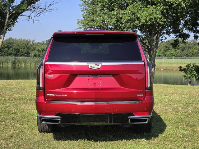 2021 Cadillac Escalade Vehicle Photo in DENTON, TX 76210-9321