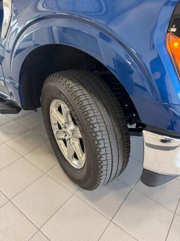 2024 Ford F-150 Vehicle Photo in Peoria, IL 61615