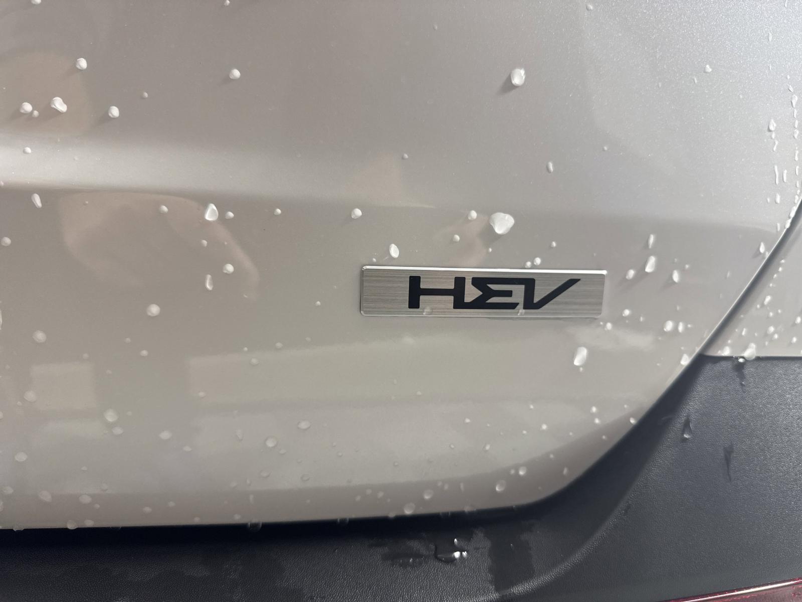 2025 Kia Carnival Hybrid Vehicle Photo in GEORGETOWN, TX 78626-7508