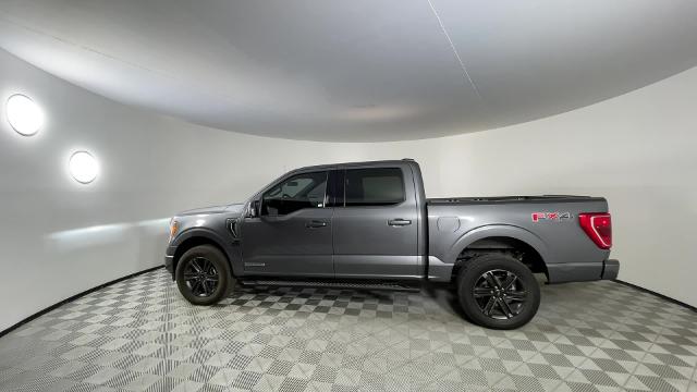 2022 Ford F-150 Vehicle Photo in GILBERT, AZ 85297-0402