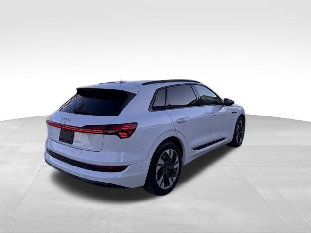 2021 Audi ETRON Vehicle Photo in DELRAY BEACH, FL 33483-3294