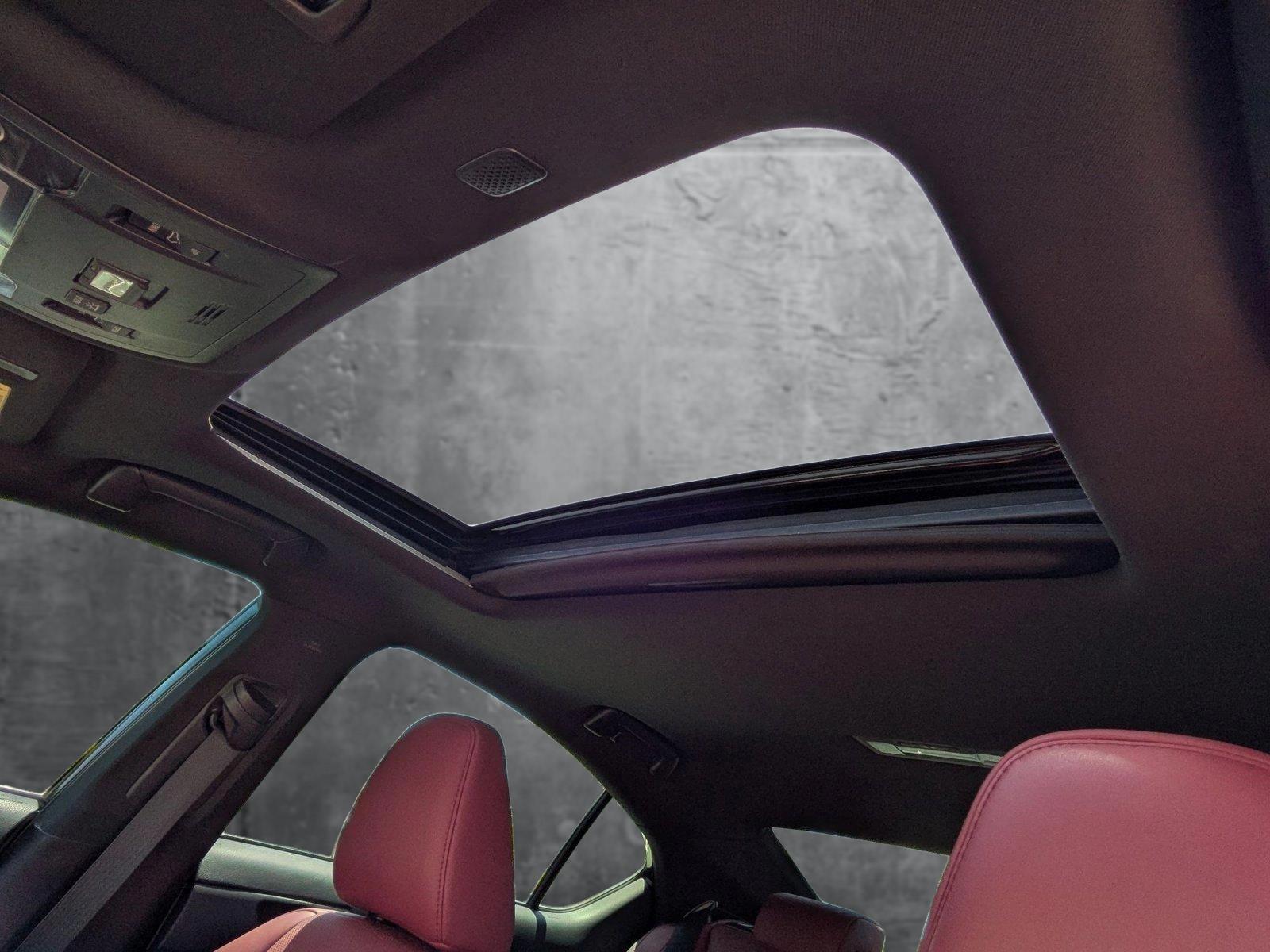 2023 Lexus IS 350 Vehicle Photo in Clearwater, FL 33761