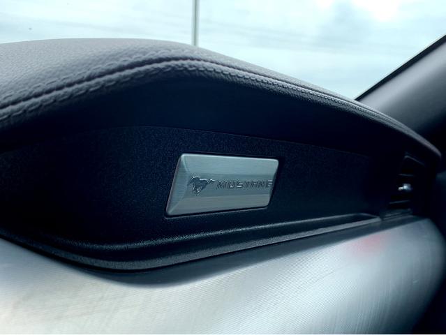 2023 Ford Mustang Vehicle Photo in BEAUFORT, SC 29906-4218