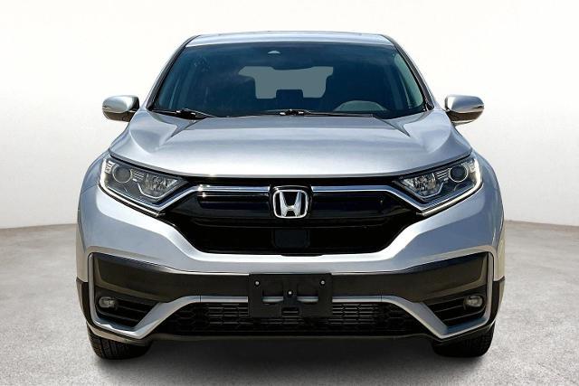 2020 Honda CR-V Vehicle Photo in San Antonio, TX 78230