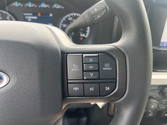 2025 Ford Super Duty F-350 DRW Vehicle Photo in Webster, MA 01570-1415