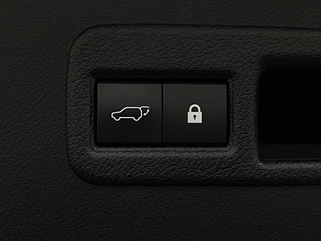 2019 Lexus NX 300 Vehicle Photo in Appleton, WI 54913