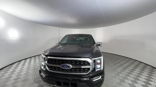 2022 Ford F-150 Vehicle Photo in GILBERT, AZ 85297-0402