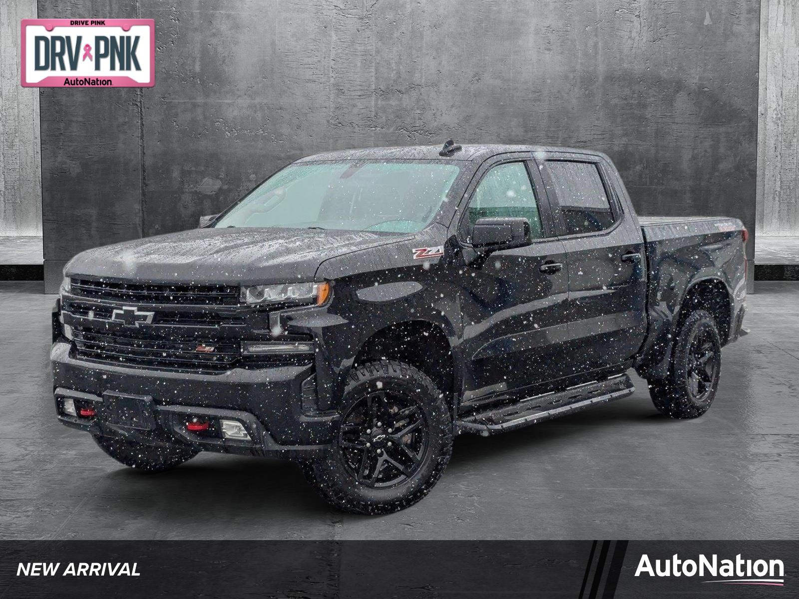 2019 Chevrolet Silverado 1500 Vehicle Photo in SPOKANE, WA 99212-2978