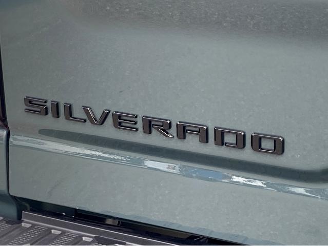 2025 Chevrolet Silverado 2500 HD Vehicle Photo in BEAUFORT, SC 29906-4218