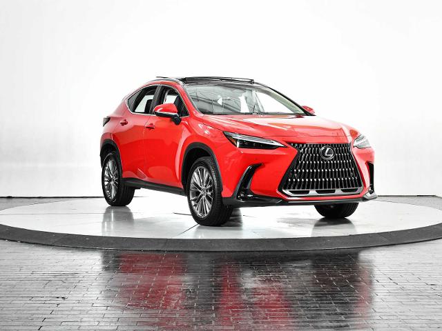 2023 Lexus NX 350 Vehicle Photo in DALLAS, TX 75235