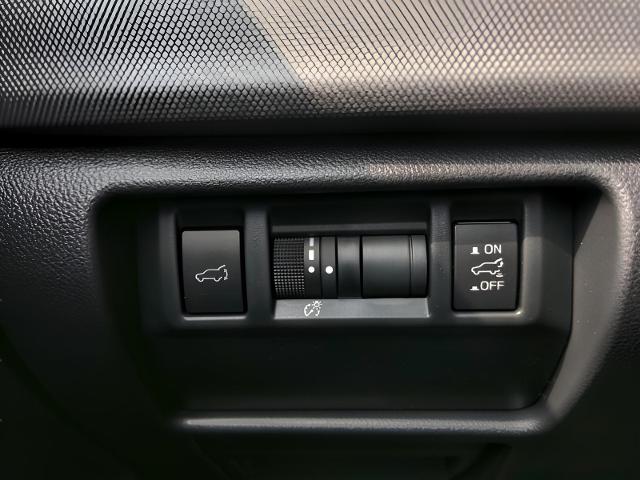 2025 Subaru Forester Vehicle Photo in Green Bay, WI 54304