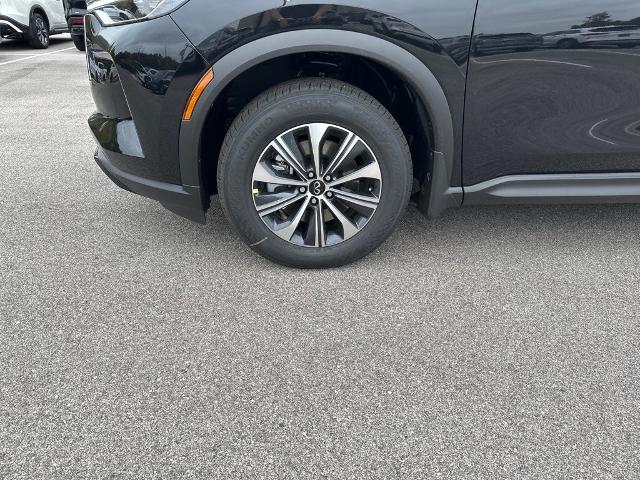 2024 INFINITI QX60 Vehicle Photo in San Antonio, TX 78230