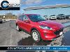 Used 2021 Ford Escape SE with VIN 1FMCU9G62MUB17850 for sale in Oneonta, NY