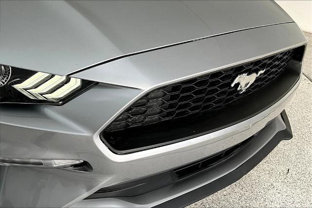 2023 Ford Mustang Vehicle Photo in Grapevine, TX 76051