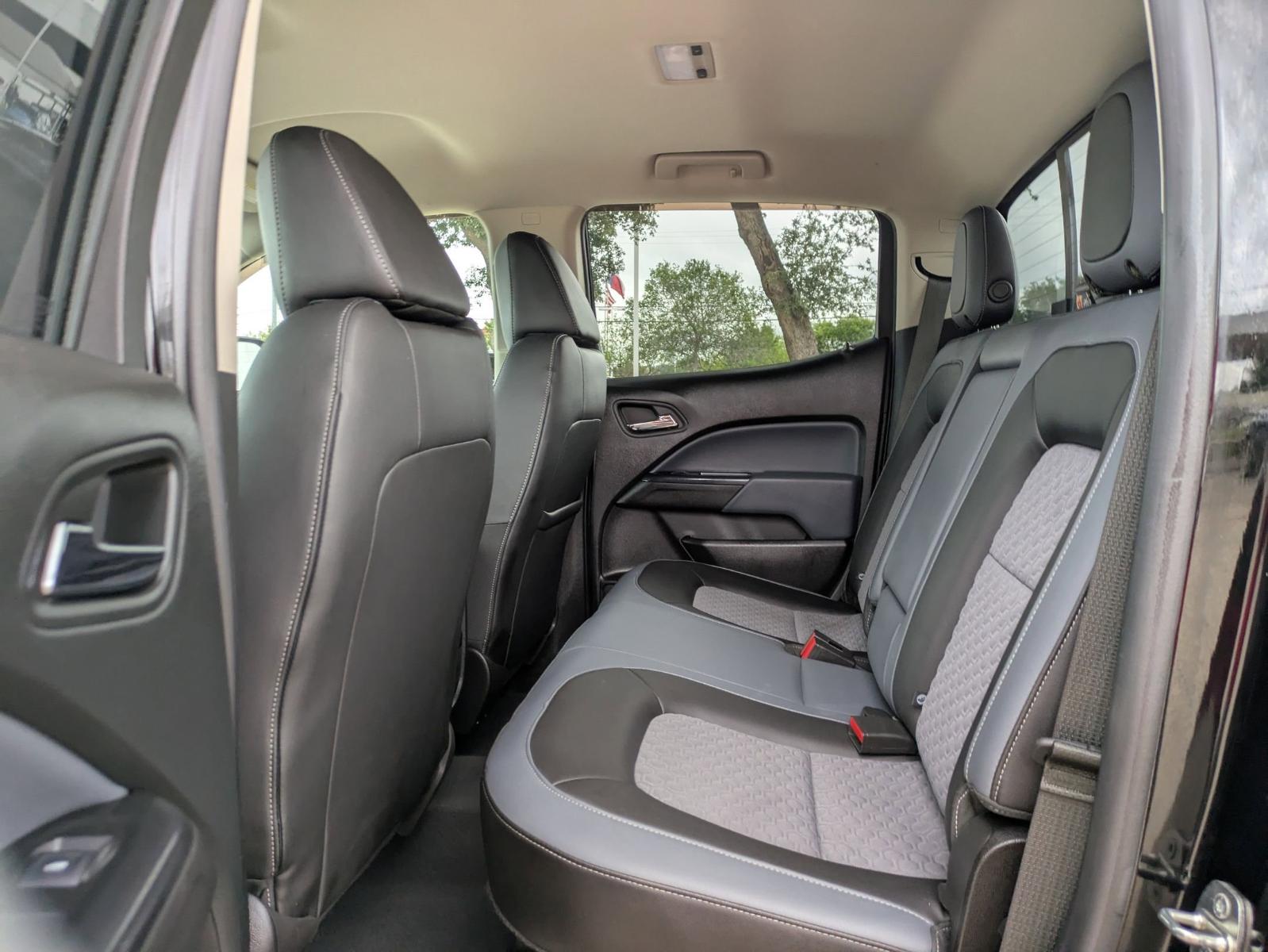2019 Chevrolet Colorado Vehicle Photo in SELMA, TX 78154-1460